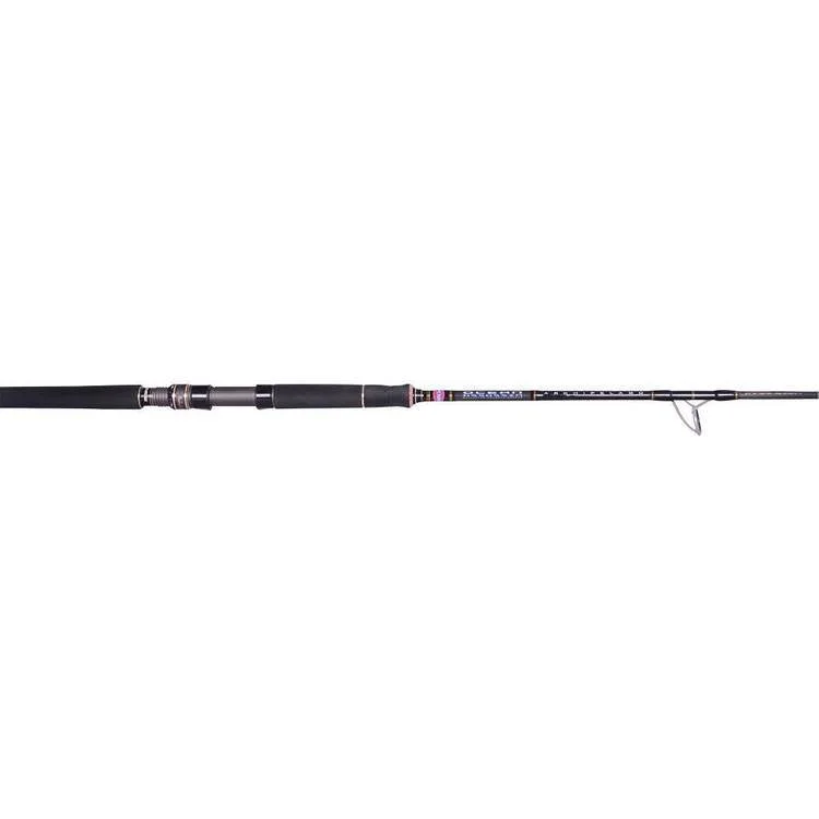 Penn Ocean Assassin Graphite Rods Clearance