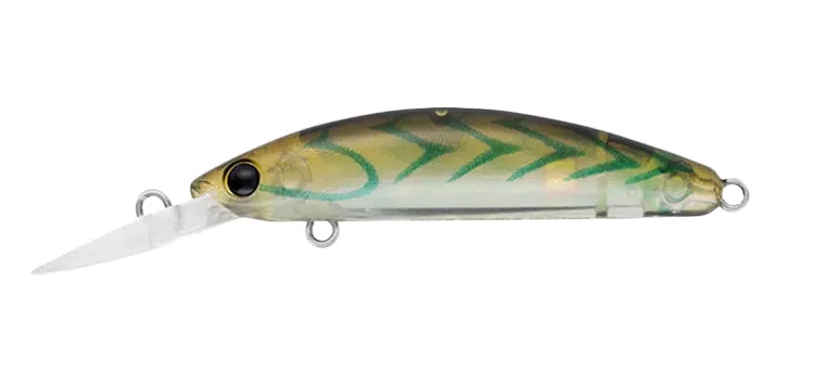 Blue Suji Prawn