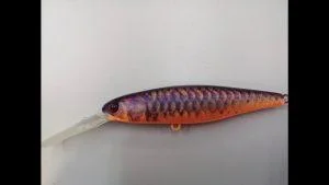 Purple Koi